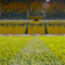 Stade La Beaujoire