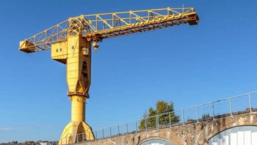 Grue jaune nantes