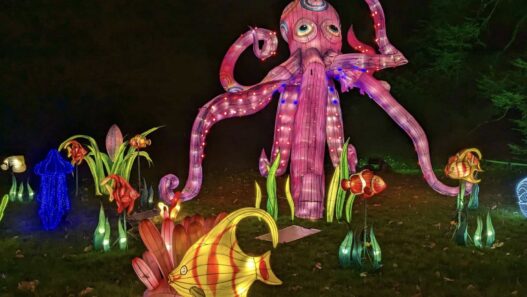 Que faire à Nantes ce week-end