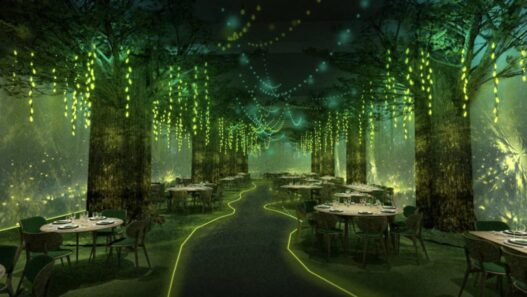 Wonderwoods, restaurant immersif à Angers