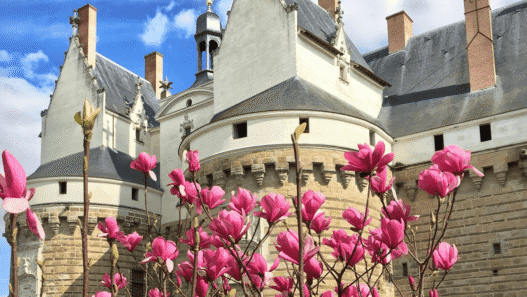 Que faire à Nantes ce week-end
