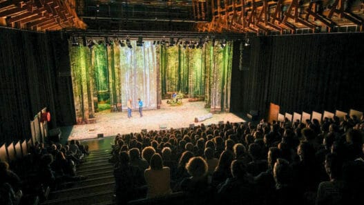 Gagne une soirée resto et spectacle à Nantes en répondant à ce formulaire !