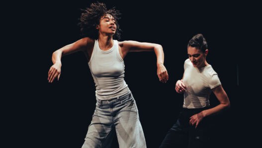 Spectacles de danse - M&M ©streetshuman_4