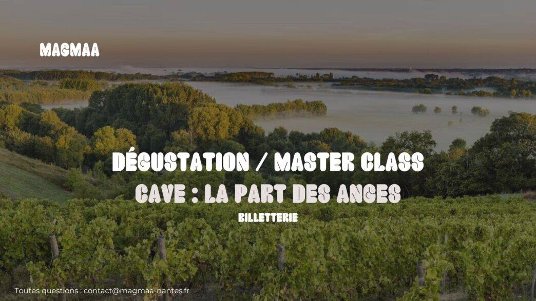 Dégustation de vin