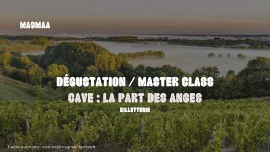 Dégustation de vin
