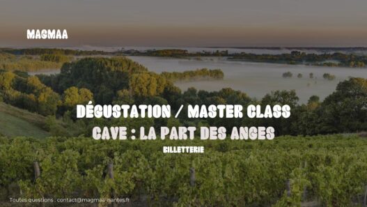 Dégustation de vin
