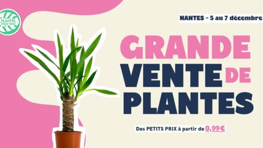 Grande vente de plante