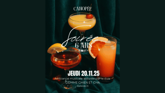 Canopée fête ses 6 ans