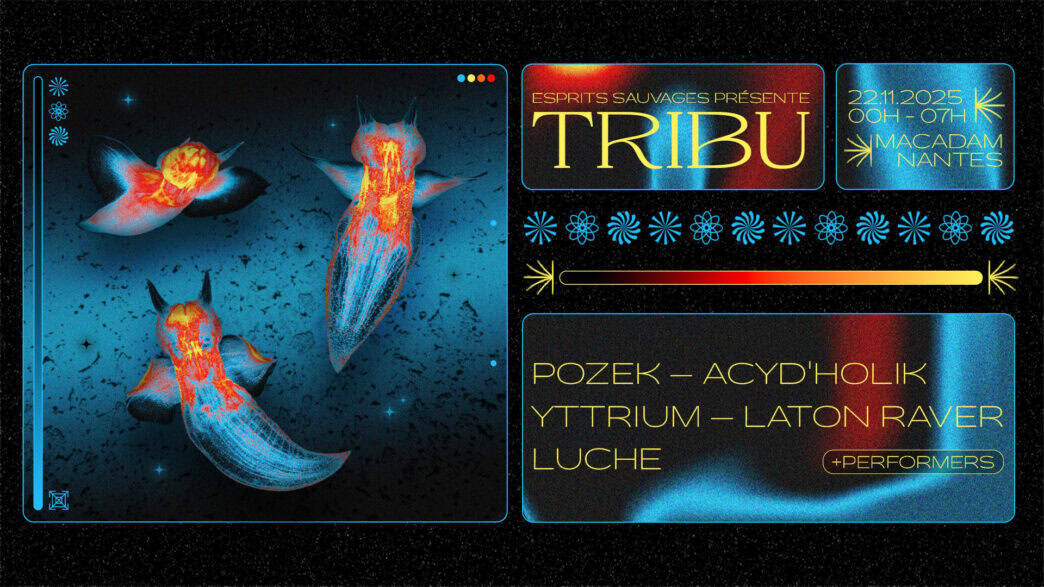 Tribu macadam