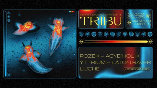 Tribu macadam