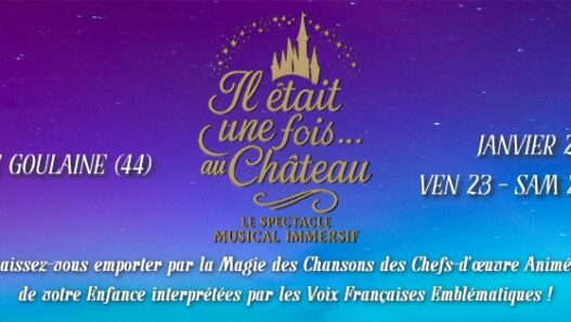 Il était une fois au château