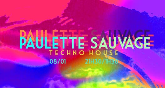 Paulette sauvage, événement techno, Nantes, soirée EDM, musique électronique, fête dance, illustration colorée, nuit festive.