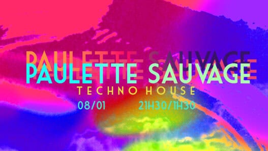 Paulette sauvage, événement techno, Nantes, soirée EDM, musique électronique, fête dance, illustration colorée, nuit festive.