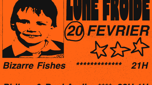 Spectacle musique live à Nantes avec Bizarre Fishes et Philem & Paul Audin, 20 février, ambiance festive et animations.