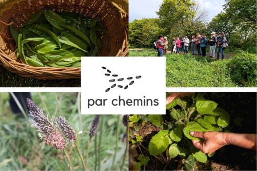 Herbes sauvages, nature, randonnée, découverte, jardins participatifs, éco-responsabilité, patrimoine naturel.