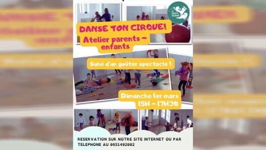 Danse ton Cirque