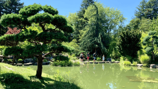 Balade dans un parc verdoyant à Nantes, idéal pour une sortie dominicale en famille ou entre amis.