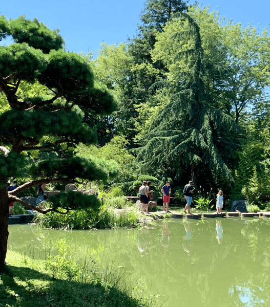 Balade dans un parc verdoyant à Nantes, idéal pour une sortie dominicale en famille ou entre amis.