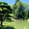 Balade dans un parc verdoyant à Nantes, idéal pour une sortie dominicale en famille ou entre amis.