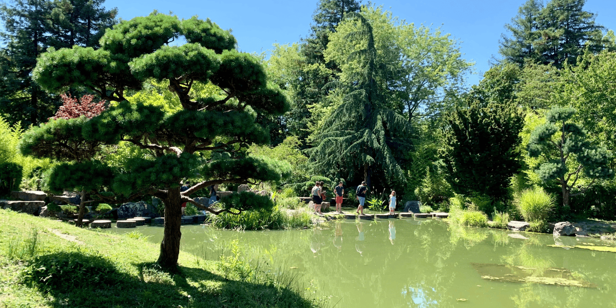 Balade dans un parc verdoyant à Nantes, idéal pour une sortie dominicale en famille ou entre amis.