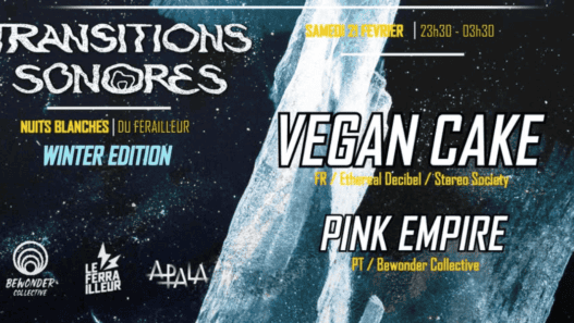 Affiche de l'événement Transitions Sonores Winter avec Vegan Cake et Pink Empire.
