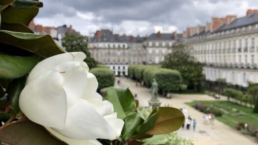 Fleurs blanches dans un jardin public à Nantes, avec bâtiments historiques en arrière-plan.