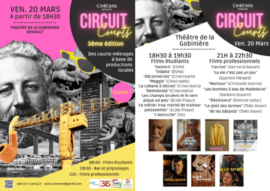Projection de courts-métrages produits localement lors de l'événement "Circuit Courts" à Nantes.