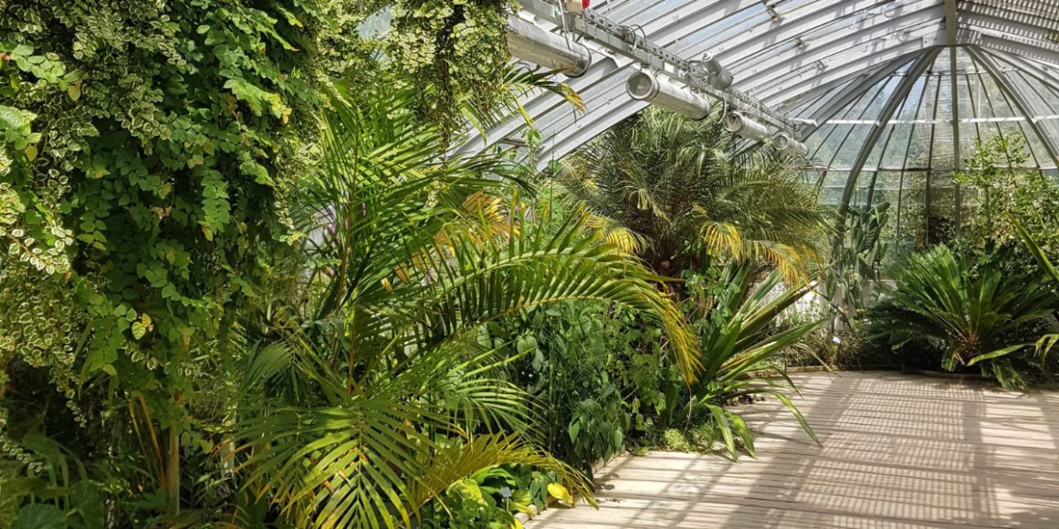 Que faire à Nantes en mars 2026 ? 12 idées de sorties et activités