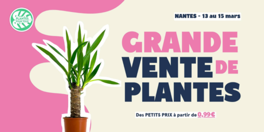 Grande vente de plante