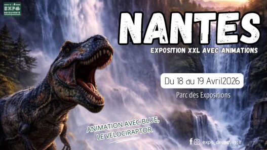 Exposition dinosaures