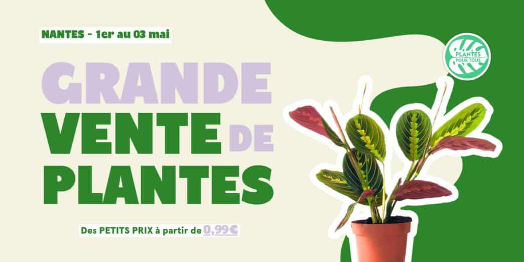 Grande vente de plantes