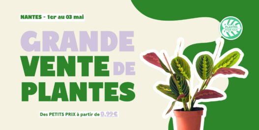 Grande vente de plantes