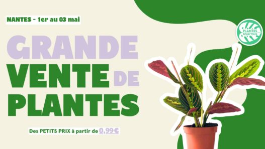 Grande vente de plantes