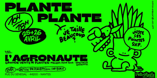 Plante, plante