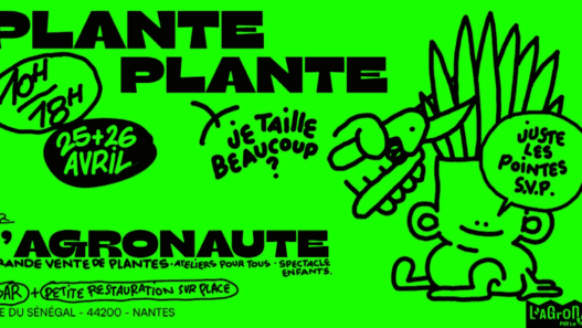 Plante, plante