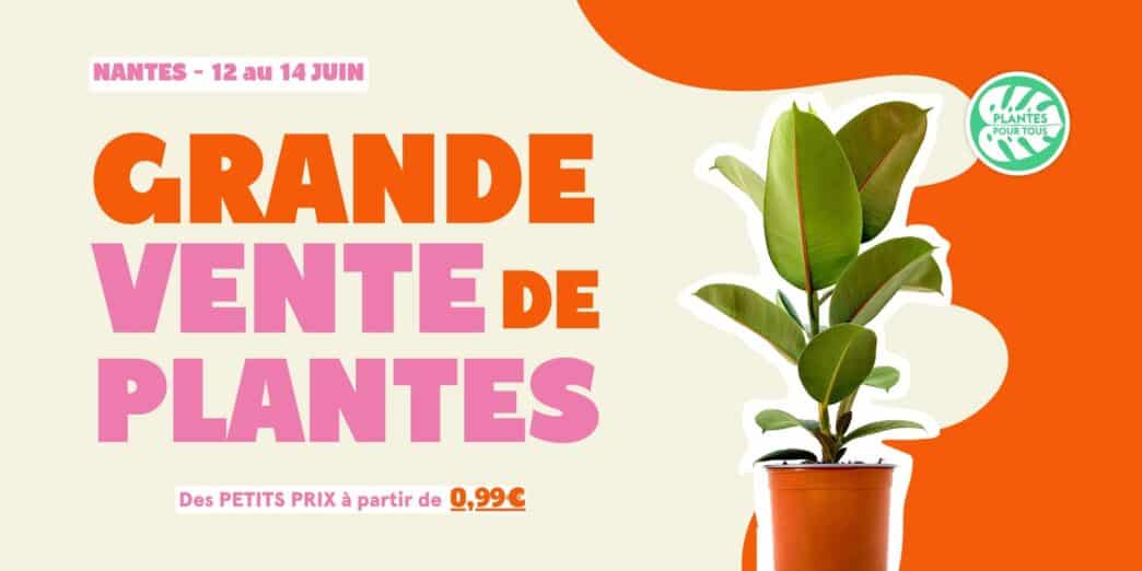 Plantes pour tous : Grande vente de plantes