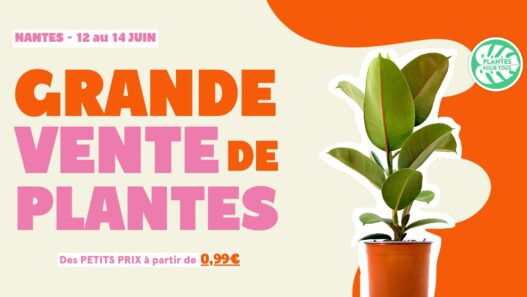 Plantes pour tous : Grande vente de plantes