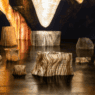 Exposition Rêves premiers