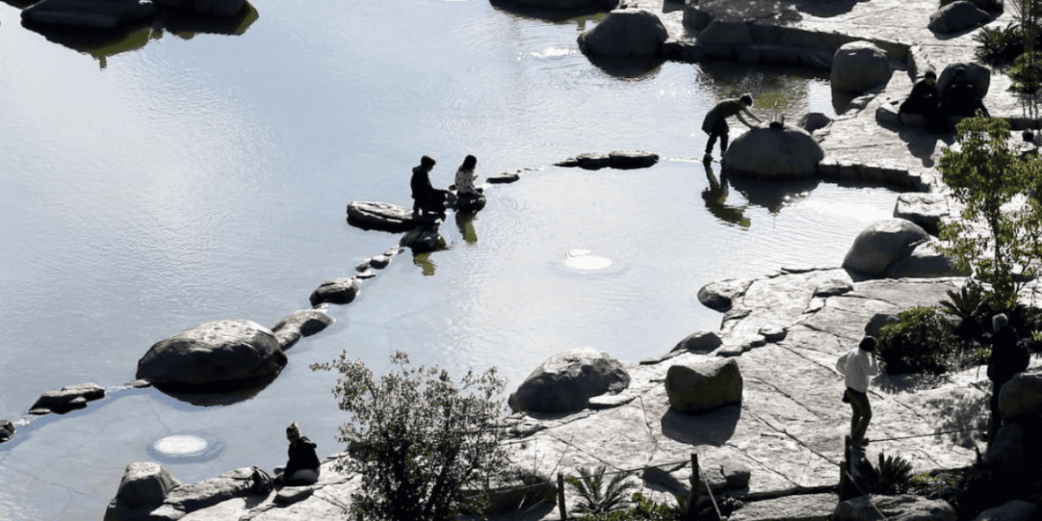 Jardin Extraordinaire article