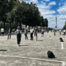 Joffre mes boules