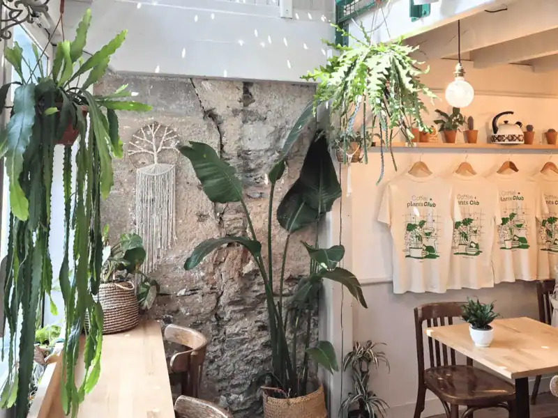 La salle du coffee shop Café Bouture, entourée de plantes