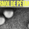 tournoi pétanque h24