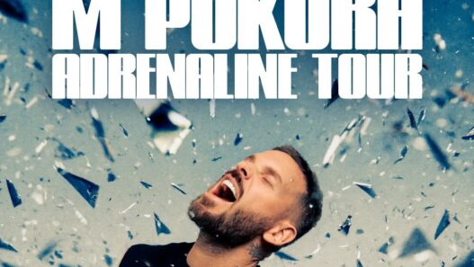 M Pokora : Adrenaline Tour au Zénith de Nantes