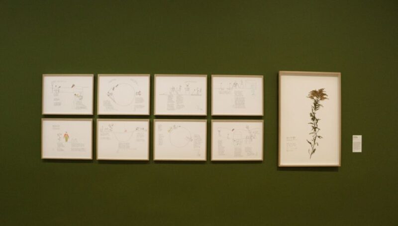 Exposition Plants and People au Musée d&rsquo;arts
