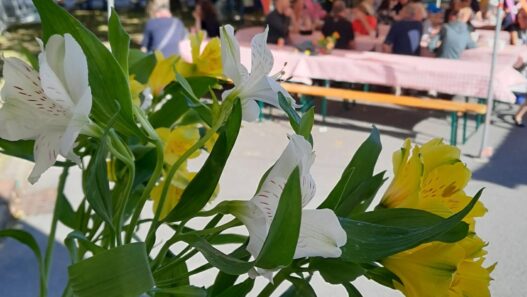 Fête à la Grenouille à Basse Goulaine