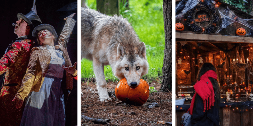 Halloween à Legendia Parc à Frossay près de Nantes