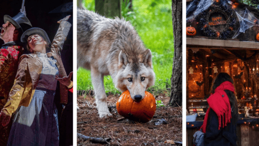 Halloween à Legendia Parc à Frossay près de Nantes