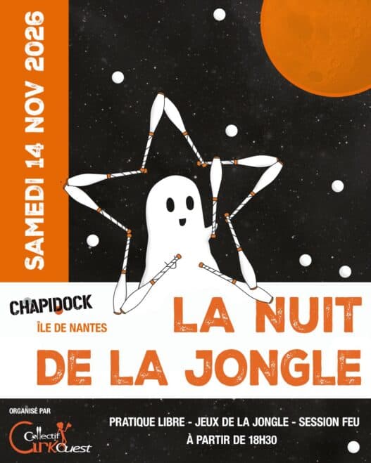 Visuel la nuit de la jongle
