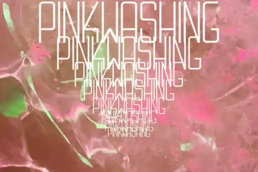 pinkwashing affiche