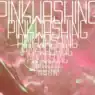 pinkwashing affiche